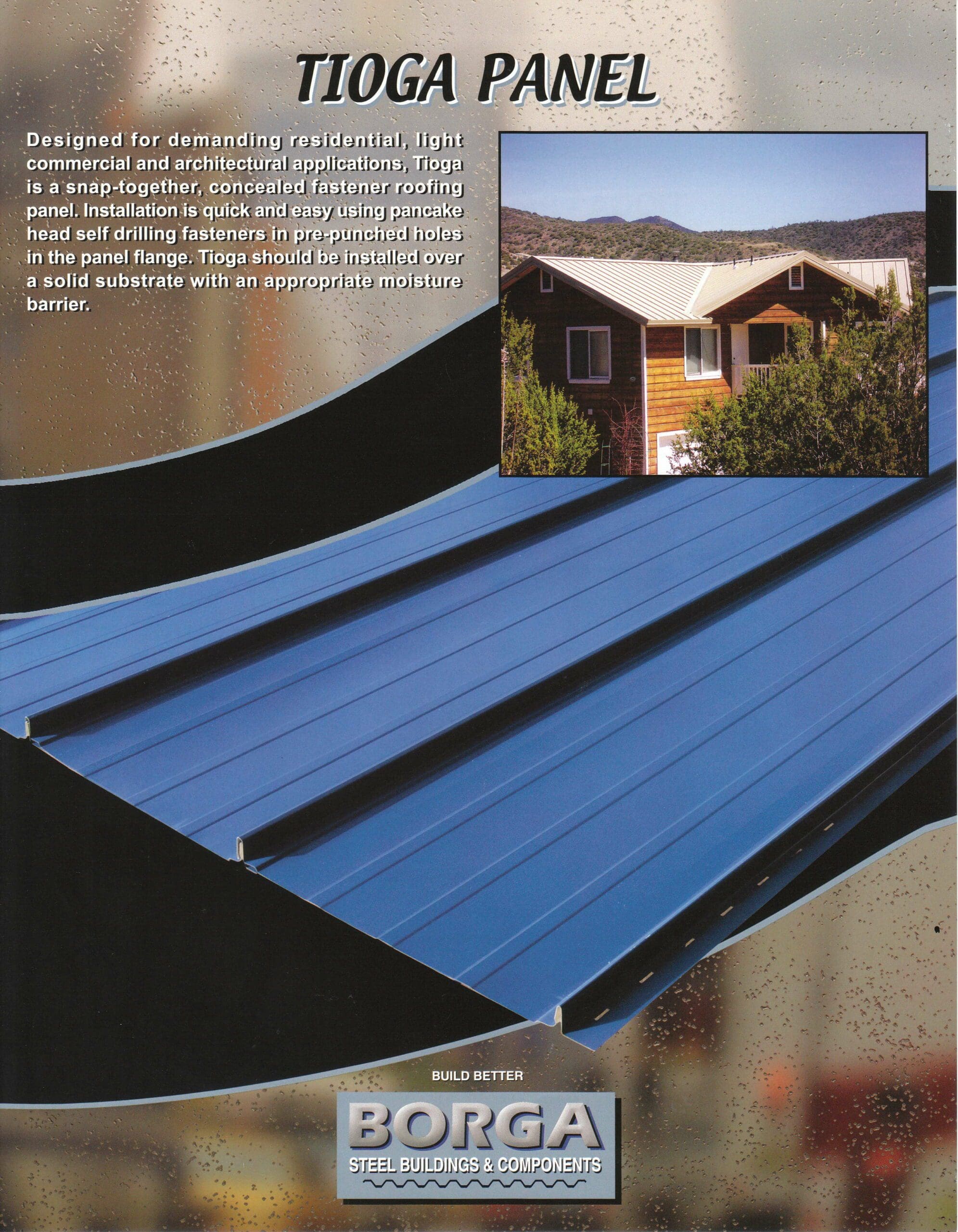Tioga Panel Flyer